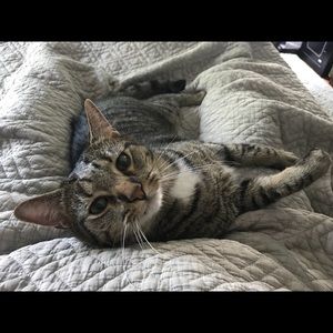 Meet your Posher, Mandy